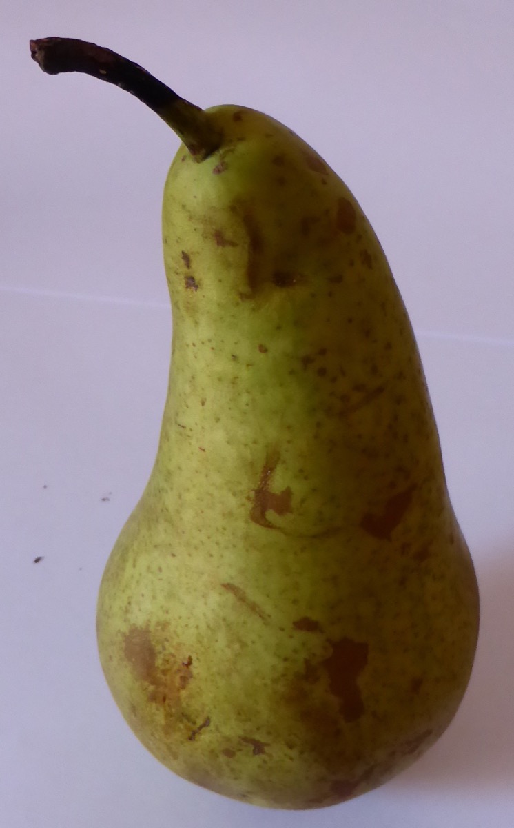 A green pear